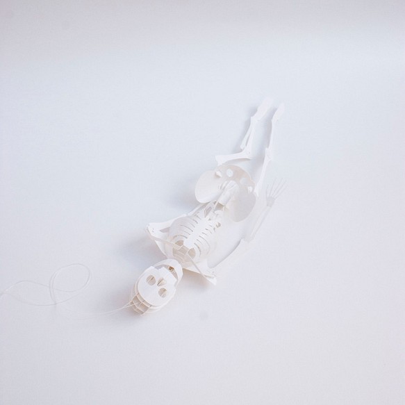 紙ほね01 人体骨格模型キット [ A5 / ミランダ スノーホワイト] 1枚目の画像