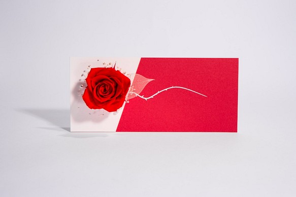 Rosecode花卡片系列  代號：銀河玫瑰(紅色) 第1張的照片