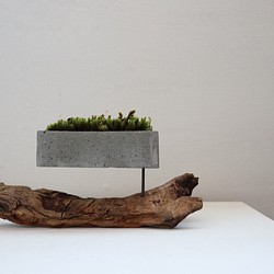 cement-lumber-moss-vase 1 1枚目の画像