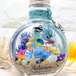 ハーバリウム  Herbarium　海　umi ネコ瓶 大 ミニアクアリウム 1枚目の画像