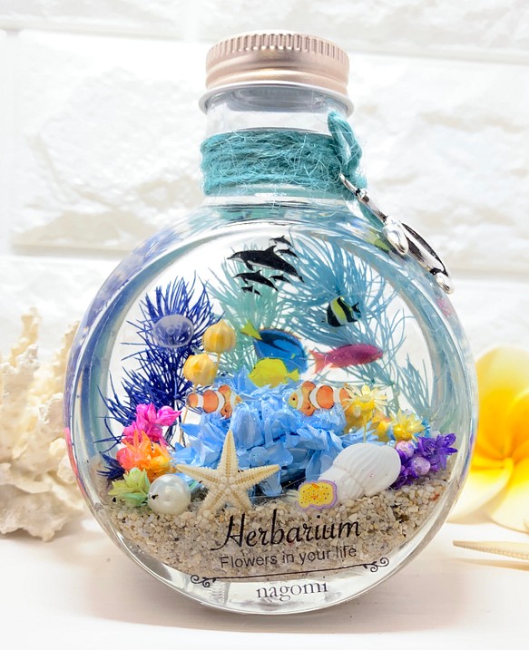 ハーバリウム  Herbarium　海　umi ネコ瓶 大 ミニアクアリウム 1枚目の画像