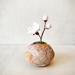 5185.bud 粘土の鉢植え ウメ - 白 1枚目の画像