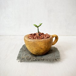 5355.bud 粘土の鉢植え マグカップ 1枚目の画像