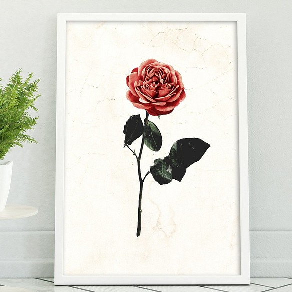 アートポスター/ Red rose　おしゃれインテリア・北欧、モノトーン好きの方に☆ 1枚目の画像