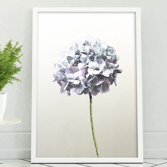 アートポスター/ Blue hydrangea　おしゃれインテリア・北欧、モノトーン好きの方に☆ 1枚目の画像