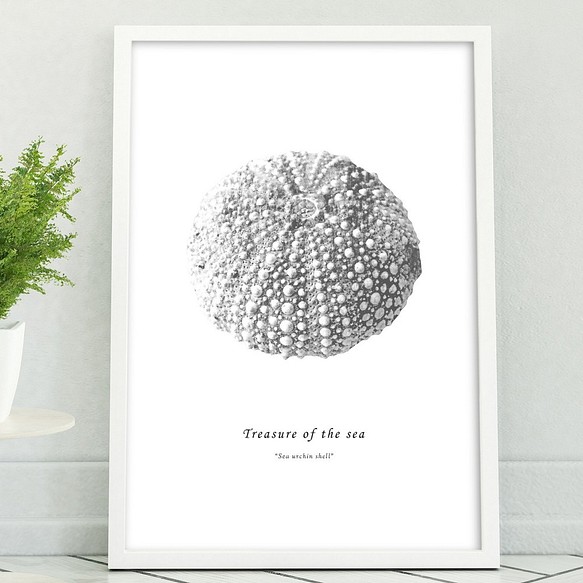 アートポスター Sea Urchin Shell Mono おしゃれインテリア 北欧 モノトーン好きの方に 写真 グラフィック Poster Shop Eitribro 通販 Creema クリーマ ハンドメイド 手作り クラフト作品の販売サイト