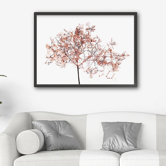 アートポスター/ Coral dry flower  おしゃれインテリア・北欧、モノトーン好きの方に☆ 1枚目の画像