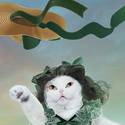 Nekotaku cat picture postcard 3-sheet set Tomorrow is anothe 第1張的照片