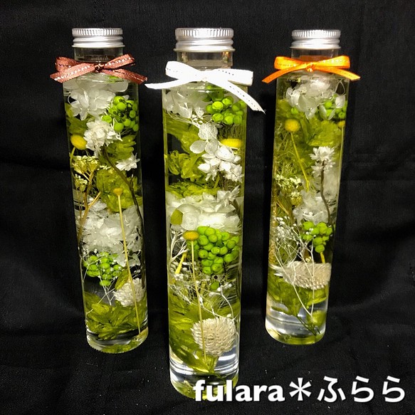 ハーバリウム グリーン系 ハーバリウム・植物標本 fulara＊ふらら 通販