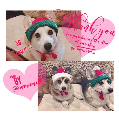 犬用ニット帽 クリスマスニット帽 犬服 犬用帽子 クリスマスプレゼント ペット服 アクセサリー Maroa Coco 通販 Creema クリーマ ハンドメイド 手作り クラフト作品の販売サイト