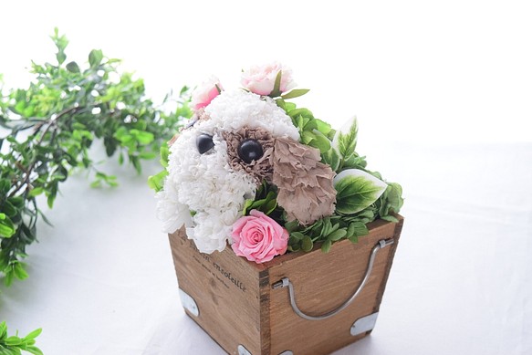 シーズー・茶】プリザーブドフラワー 花 犬 カーネーション ペット