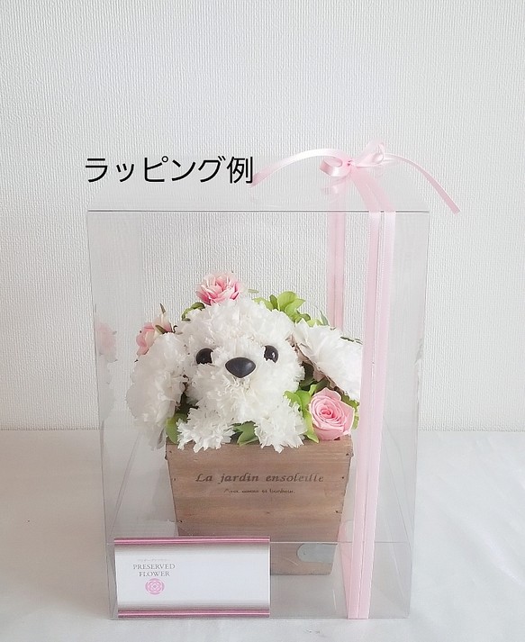 シーズー・茶】プリザーブドフラワー 花 犬 カーネーション ペット