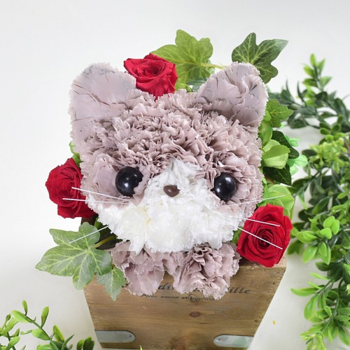 再販 茶猫 フラワーペット プリザーブドフラワー 花 猫 カーネーション 母の日 誕生日 プレゼント お供え フラワー リース すりすとん 枯れない花工房 通販 Creema クリーマ ハンドメイド 手作り クラフト作品の販売サイト