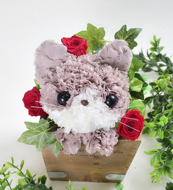 再販 茶猫 フラワーペット プリザーブドフラワー 花 猫 カーネーション 母の日 誕生日 プレゼント お供え フラワー リース すりすとん 枯れない花工房 通販 Creema クリーマ ハンドメイド 手作り クラフト作品の販売サイト