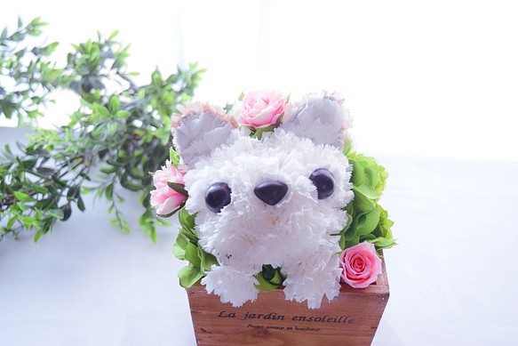 【チワワ 白】フラワーペット／プリザーブドフラワー 花 動物 カーネーション　犬　誕生日 お供え 母の日