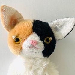 【聖誕特價】印花布貓橙色貓眼 第1張的照片