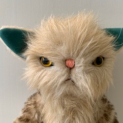 ベージュキャット　テディベア　猫 1枚目の画像