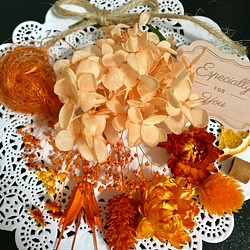 オレンジ♡ハーバリウム花材ドライフラワー 花材セット 1枚目の画像
