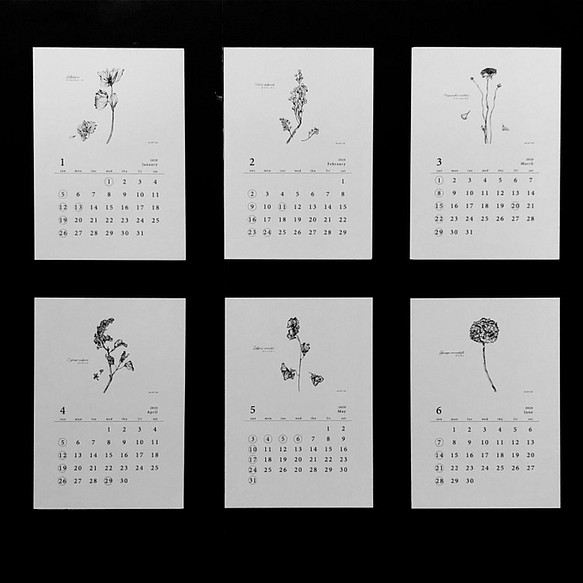 《60%OFF》 植物語(しょくぶつがたり)2020 ポストカードカレンダー 1枚目の画像