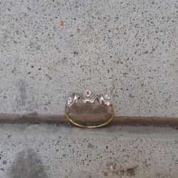 Silver / Brass ring 　　【在庫処分】 1枚目の画像
