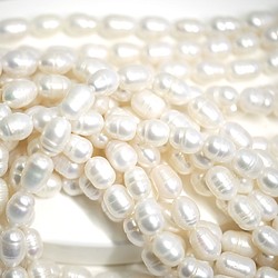再次上架【10顆】高品質淡水珍珠！穿透！約 8*10mm 橢圓形淡水珍珠及串珠 第1張的照片