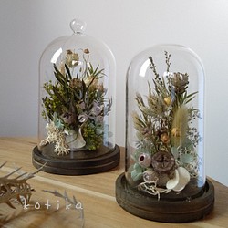 glassdome dryflowers (set of 2) 1枚目の画像