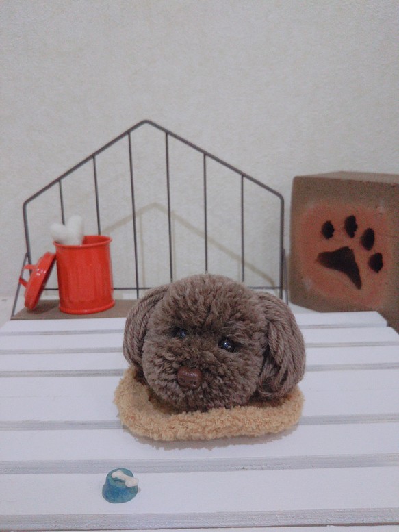 犬ポンポン(ケース&コースター付き) トイプードル 1枚目の画像