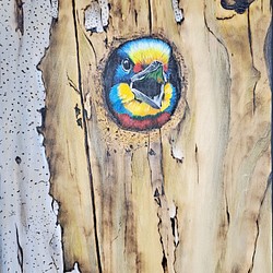 5色の鳥のアクリル画燃える焼き絵オリジナルの吊り絵 1枚目の画像