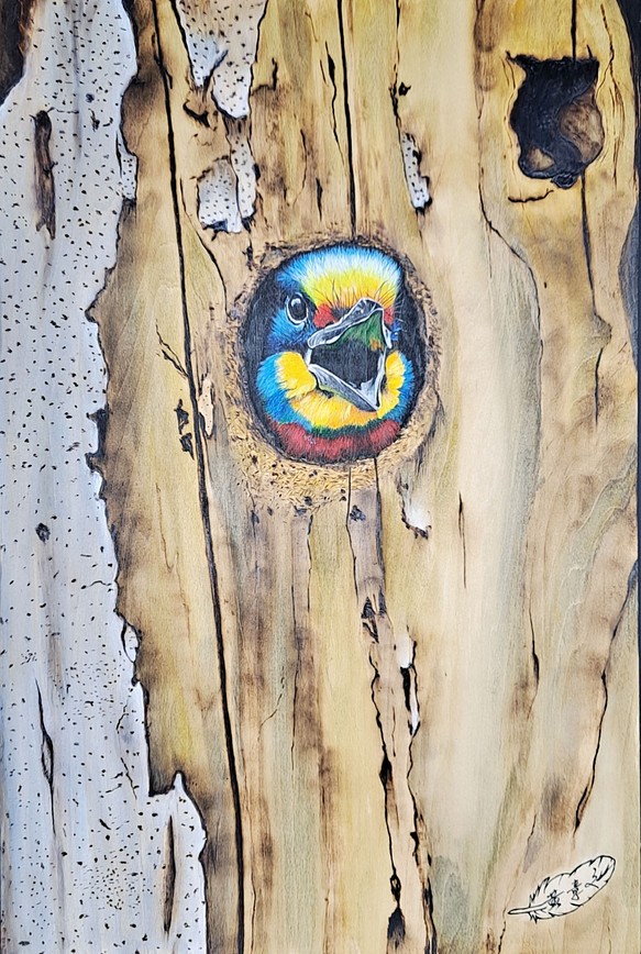 5色の鳥のアクリル画燃える焼き絵オリジナルの吊り絵 1枚目の画像