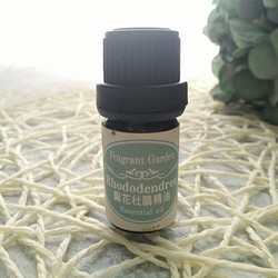 《香氛花園》髯花杜鵑精油 5ml/瓶   Rhodoendron essential oil 第1張的照片