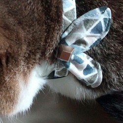 大人シックな三角模様のチーフ　キラキラ金ボタンの猫用首輪　落ち着いた雰囲気の猫ちゃんにおすすめ 1枚目の画像