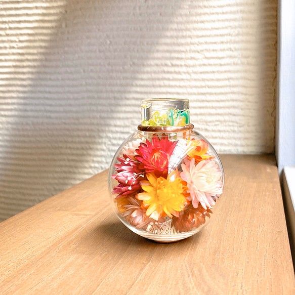玻璃莢萬花筒“花莢”乾花蠟菊/黃綠色 第1張的照片