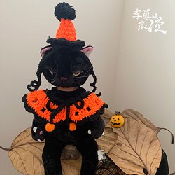 Halloween萬聖節限定-好橘的打扮-寵物披風 帽子 領巾 巫婆 蜘蛛 第1張的照片