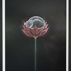 絵ポストカードNo.62「花にくらす猫　十分満ちたりている」【選べる3枚】 1枚目の画像