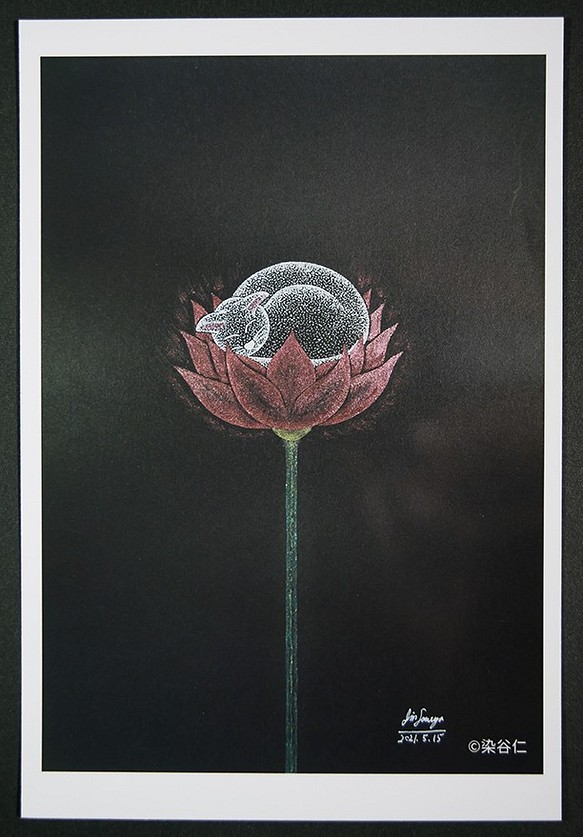 絵ポストカードNo.62「花にくらす猫　十分満ちたりている」【選べる3枚】 1枚目の画像