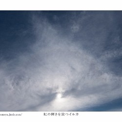 写真ポストカードNo.15「虹の輝きを放つイルカ」【選べる3枚】 1枚目の画像