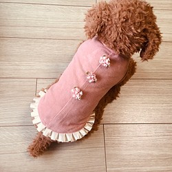 可愛い　犬服フリル、花モチーフ付き 1枚目の画像