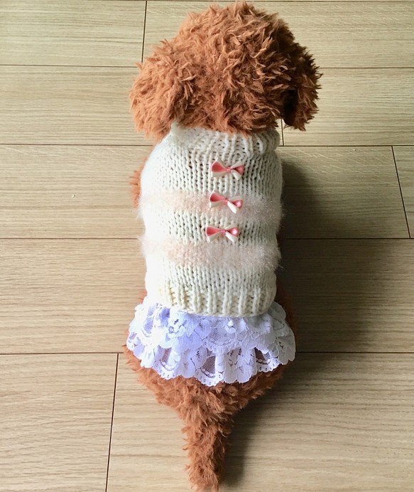 犬服 手編みのニット服スカート付き ペット服・アクセサリー ✳︎nao