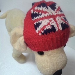 赤のイギリス国旗柄のワンちゃん帽子(CAP-43) 1枚目の画像