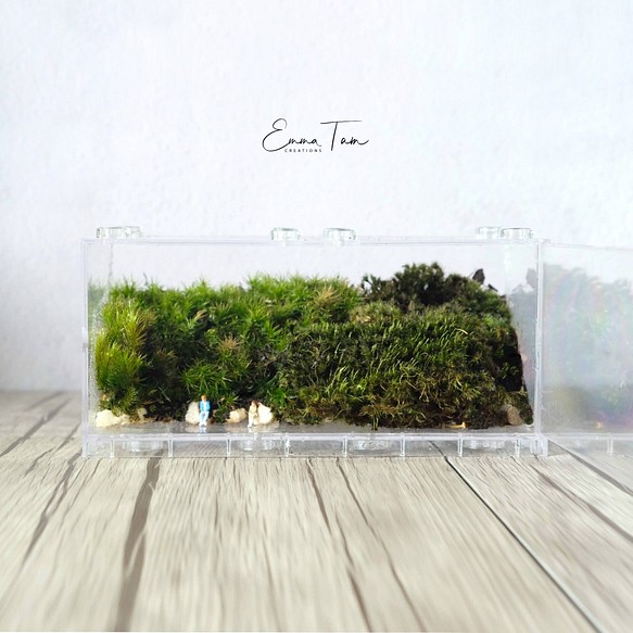 【生態冰塊 terraICE】如何悄悄表白心聲…原創生態瓶【甜蜜距離】Terrarium微景觀苔蘚植物盆栽綠色自然風禮物 第1張的照片