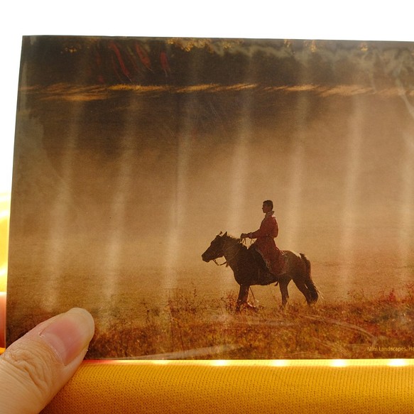 【草原絮語】心意卡任選3 明信片 裝飾 文具 馬 牧 綿羊 銀河 宇宙 星星 Galaxy Horse Postcard 第1張的照片