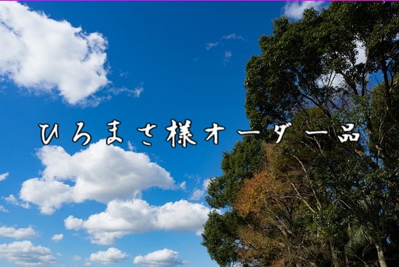 ひろまさ様オーダー品 弁当箱・ランチボックス 大分木工所『きまぐれ