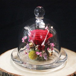 [小王子的玫瑰花盅]  永生花 玻璃罩盅 乾燥花 客製 花禮 禮物 擺飾 佈置 第1張的照片