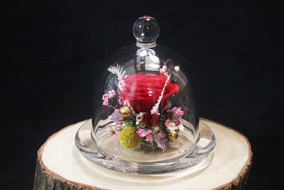 [小王子的玫瑰花盅]  永生花 玻璃罩盅 乾燥花 客製 花禮 禮物 擺飾 佈置 第1張的照片