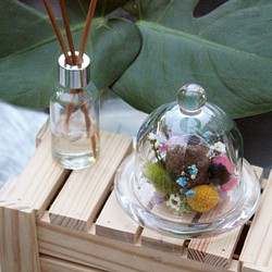 [Blooming ! 生活~貝爾果X花盅] 乾燥花 玻璃罩盅  客製 花禮 禮物 擺飾 佈置 第1張的照片