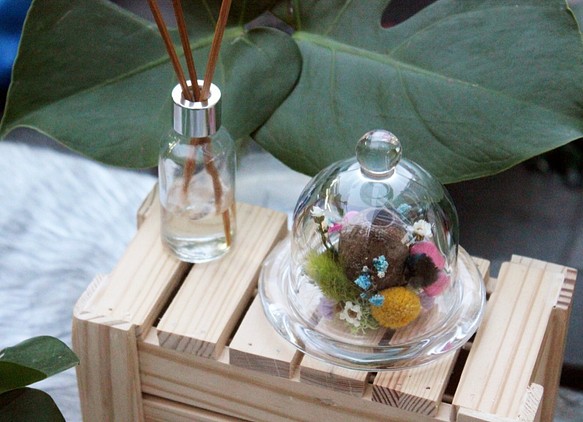[Blooming ! 生活~貝爾果X花盅] 乾燥花 玻璃罩盅  客製 花禮 禮物 擺飾 佈置 第1張的照片