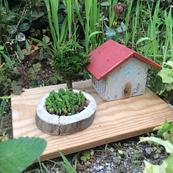 小さな箱庭☀︎おウチシリーズR6 オニワデタニク 1枚目の画像