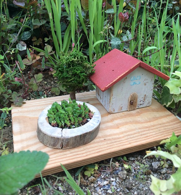 小さな箱庭☀︎おウチシリーズR6 オニワデタニク 1枚目の画像