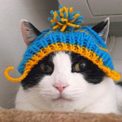 カラフルボーダーのにゃんこ帽子♡猫用手編み帽子★ねこニット帽 1枚目の画像