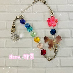 Haru特集  桜とお馬さん・虹色のサンキャッチャー 1枚目の画像